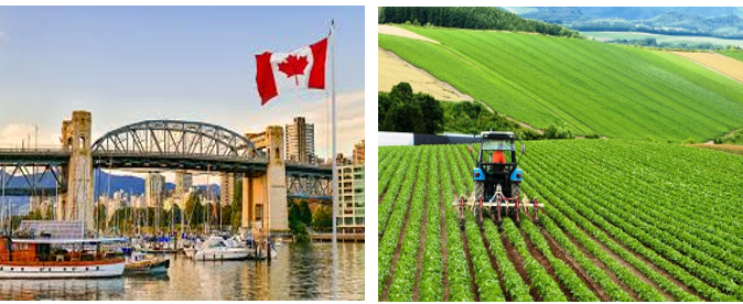 Kanada'nın 30 bin yeni çiftçiye ihtiyacı var