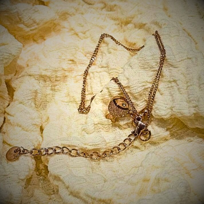 دشت بند نگین دار